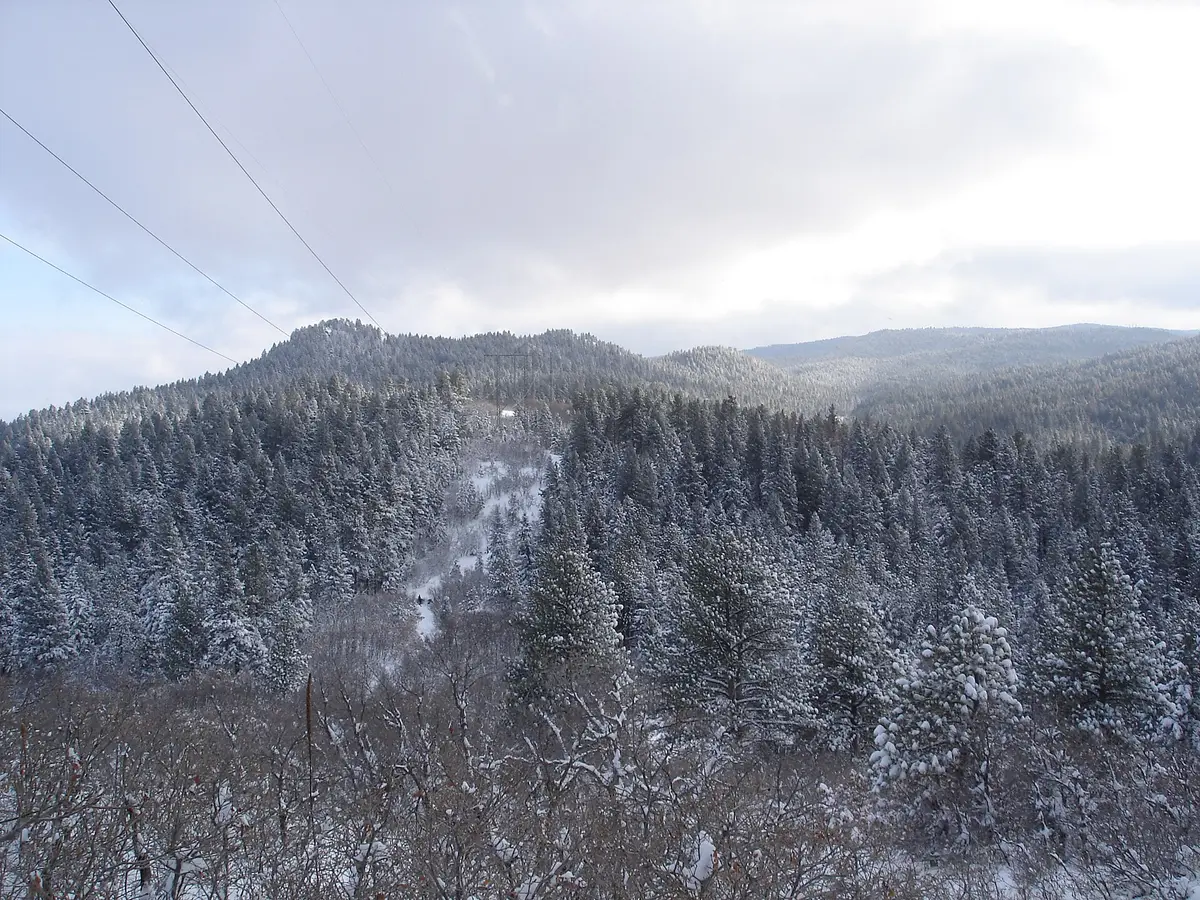 View of Timberline Ridge – Aufnahme in der Umgebung von Timber Ridge