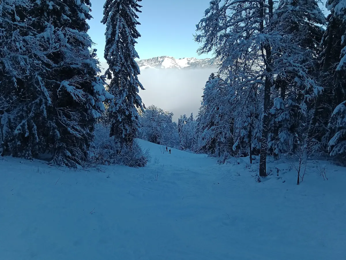 Piste du Charmant Som – Aufnahme in der Umgebung von Saint-Pierre-de-Chartreuse
