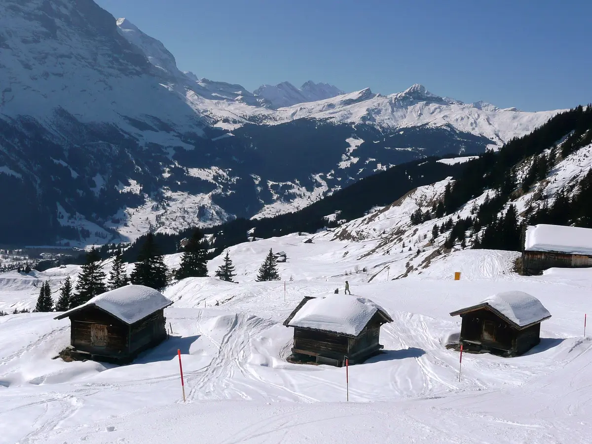 Blick über Grindelwald zur Kleinen Scheidegg und zum Männlichen - panoramio – Aufnahme in der Umgebung von First – Grindelwald