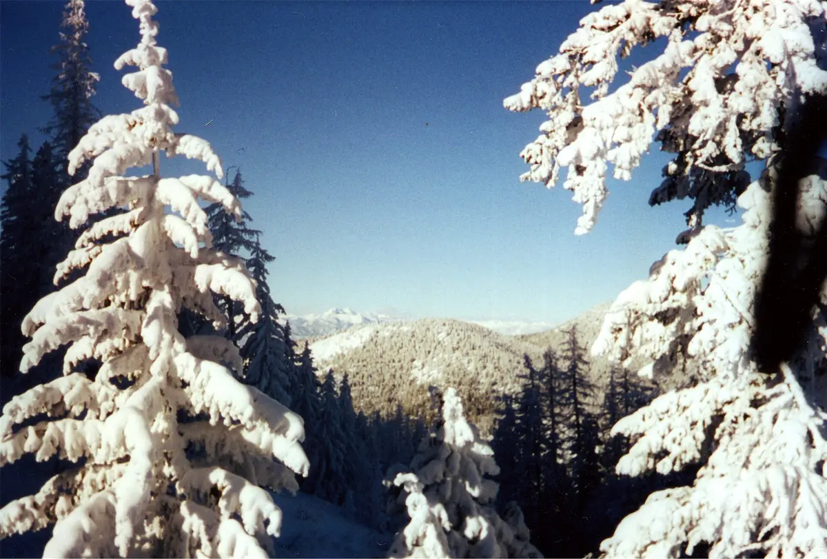 Louploupski – Aufnahme in der Umgebung von Loup Loup Ski Bowl