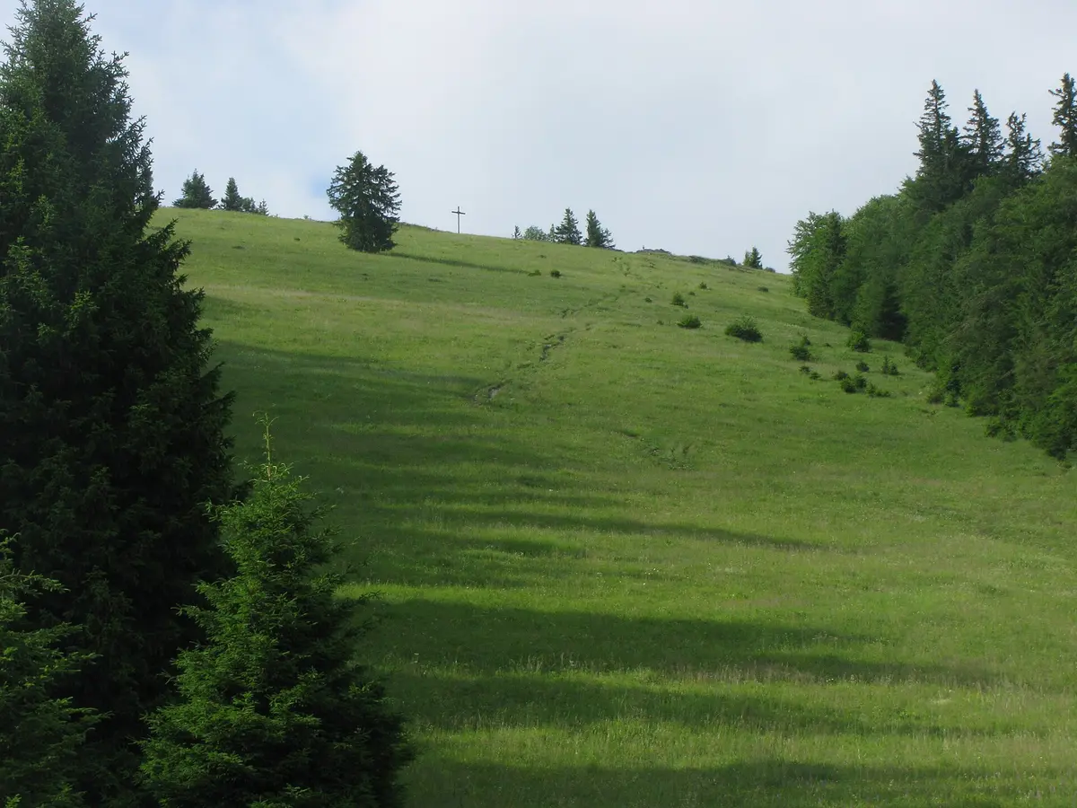 Unterberg Hüttenhang mit Gipfelkreuz – Aufnahme in der Umgebung von Rohr im Gebirge