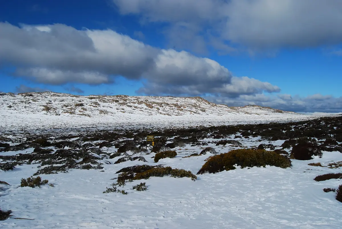 Ben Lomond snow fields – Aufnahme in der Umgebung von Ben Lomond