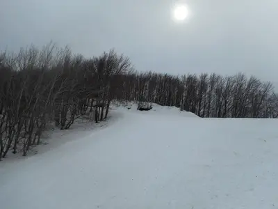 Skigebiet Χιονοδρομικό Κέντρο Πηλίου Αγριόλευκες in Griechenland