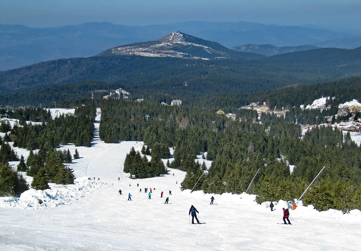 Kopaonik, Gebietsbild laut Wikidata