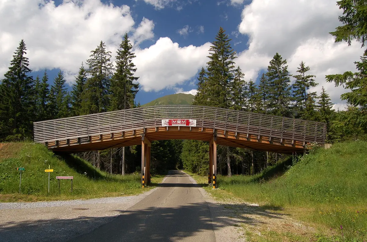 Cross-country skiing bridge, Hohentauern – Aufnahme in der Umgebung von Hohentauern