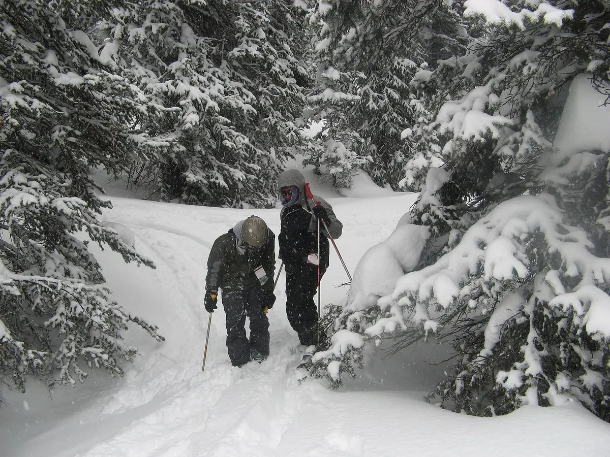 Gt-in-the-trees – Aufnahme in der Umgebung von Grand Targhee Resort