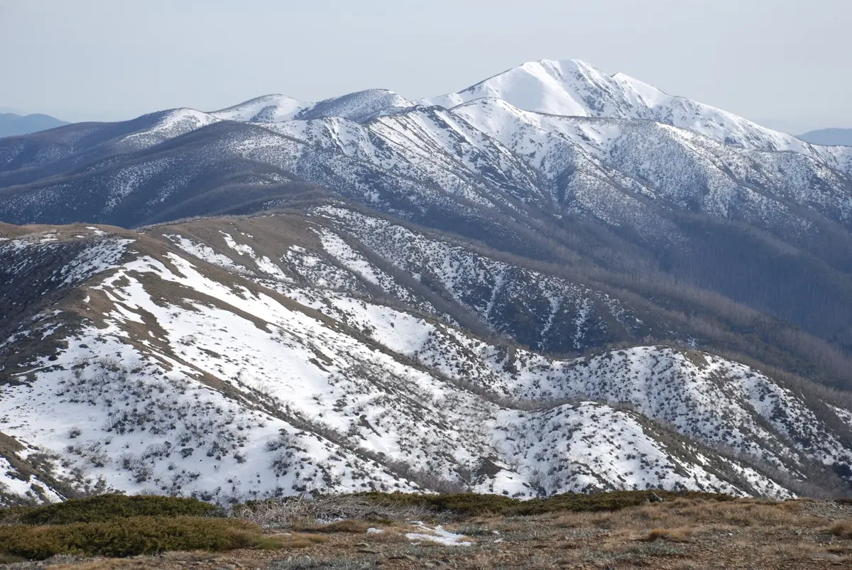 Mount Feathertop and Razorback – Aufnahme in der Umgebung von Mount Peter