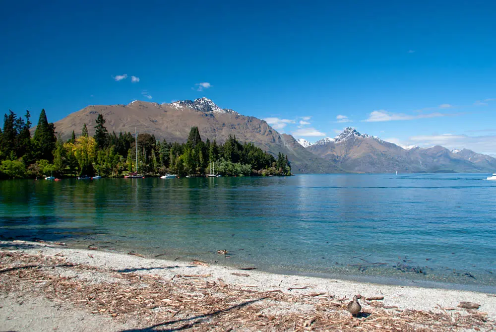 Washed up by Lake Wakatipu – Aufnahme in der Umgebung von Lake City Ski Hill