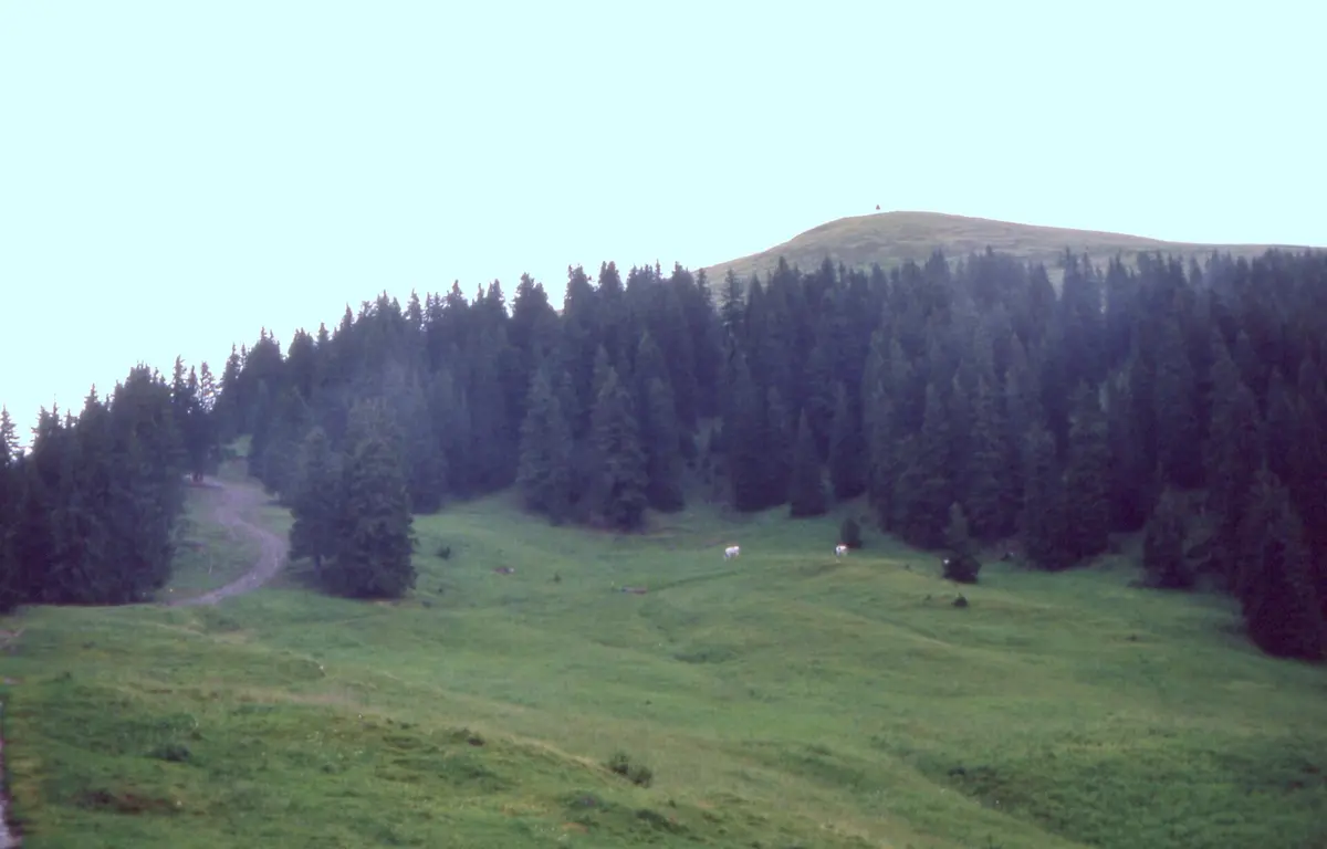 Schweiz Berra – Aufnahme in der Umgebung von La Berra