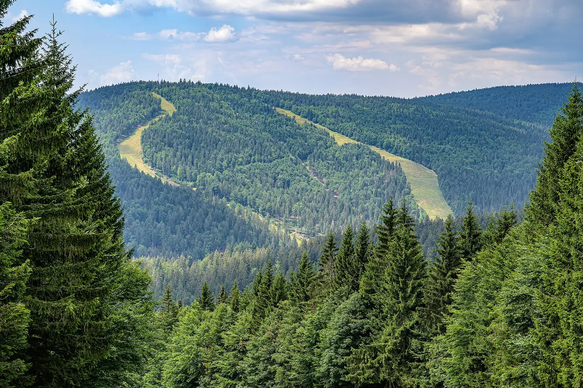 Schwarzenberg im Böhmerwald Zwieselberg-8882 – Aufnahme in der Umgebung von Hochficht-Böhmerwald