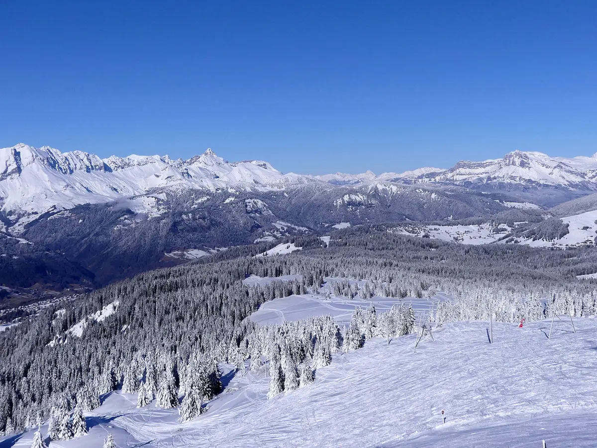 Espace Diamant (Les Saisies), Gebietsbild laut Wikidata